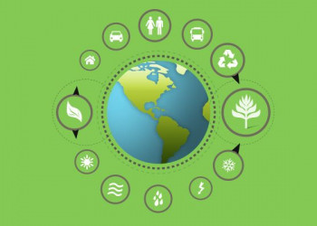 Ecologia e sustentabilidade