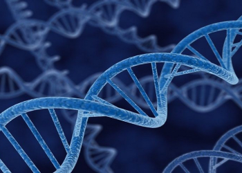 Precursores dos blocos de construção do rna são obtidos em laboratório