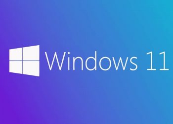 Windows 11