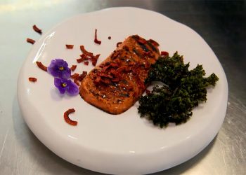 Conheça o “bife 3d”, uma alternativa vegetariana para o consumo de carne