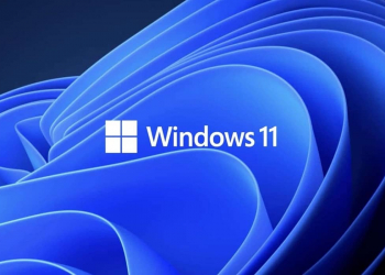 Windows 11