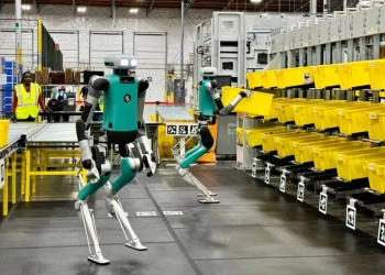 Amazon humanoide