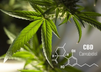O cbd, um aliado na saúde