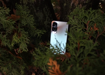 Honor 90 lite (15)