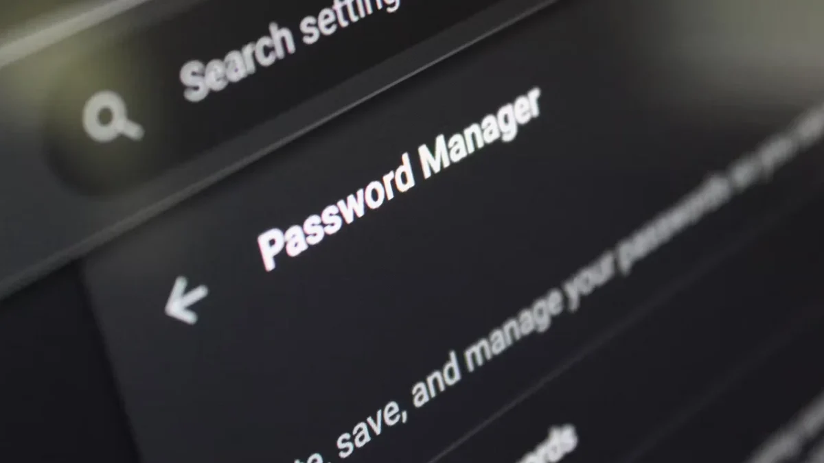 Google chrome passwords