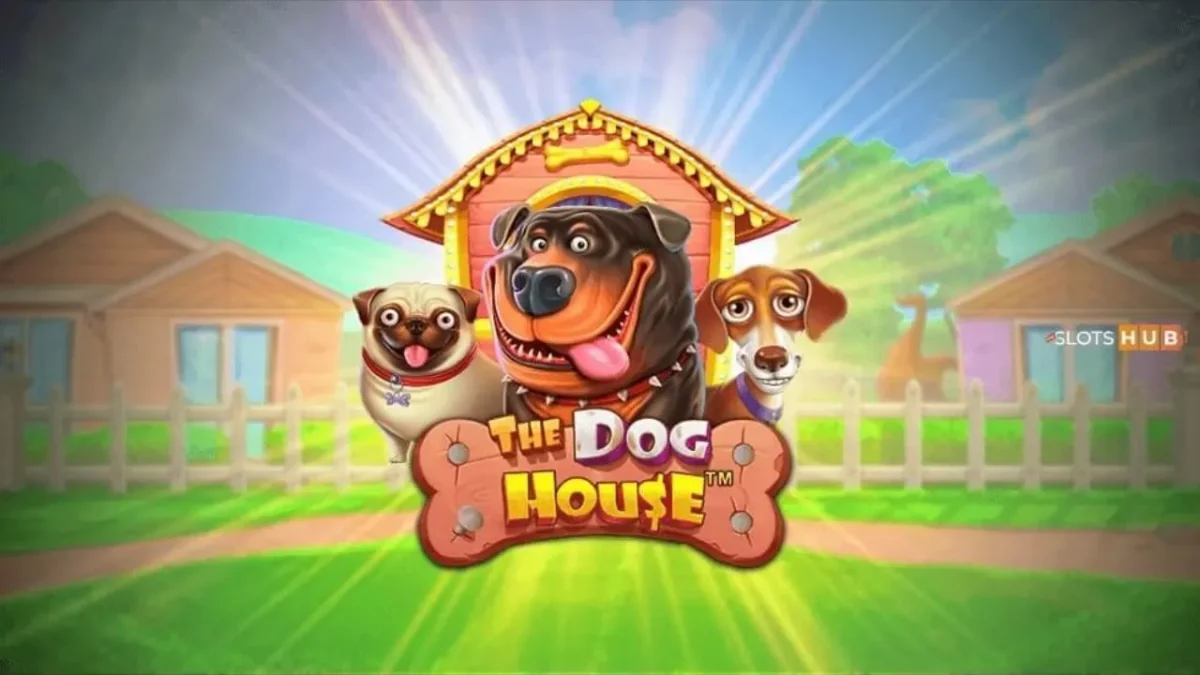 The dog house