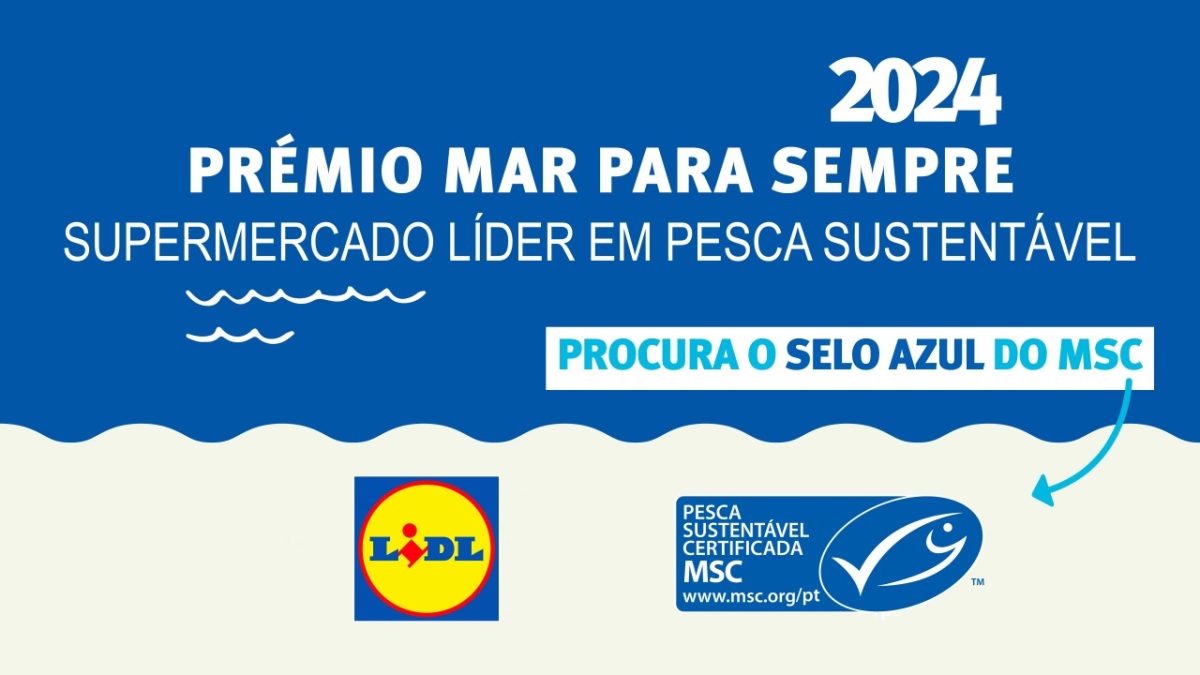 Lidl portugal premiado por promover pesca sustentável