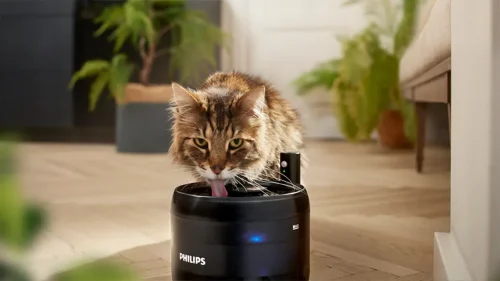 Philips pet series fonte