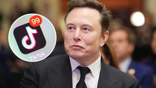 Elon musk tiktok us